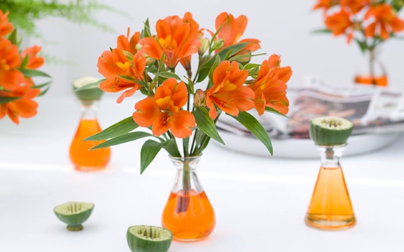 Hoa đặt bàn thường có kích thước nhỏ để tạo cảm giác thông thoáng